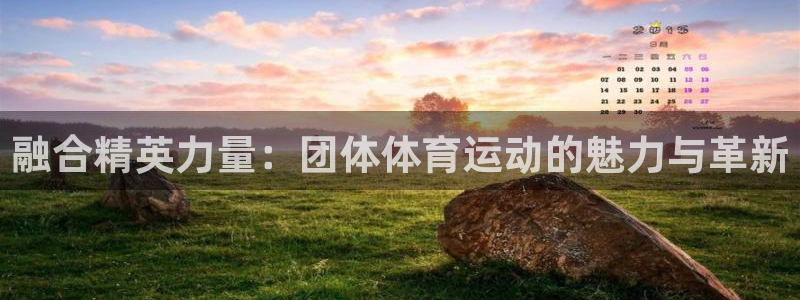 融合精英力量：团体体育运动的魅力与革新