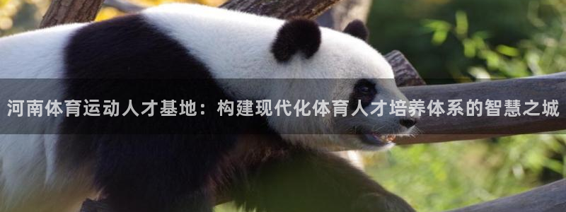 河南体育运动人才基地：构建现代化体育人才培养体系的智慧之城