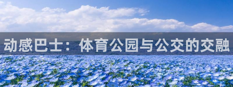 动感巴士：体育公园与公交的交融