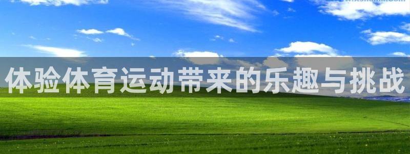 体验体育运动带来的乐趣与挑战